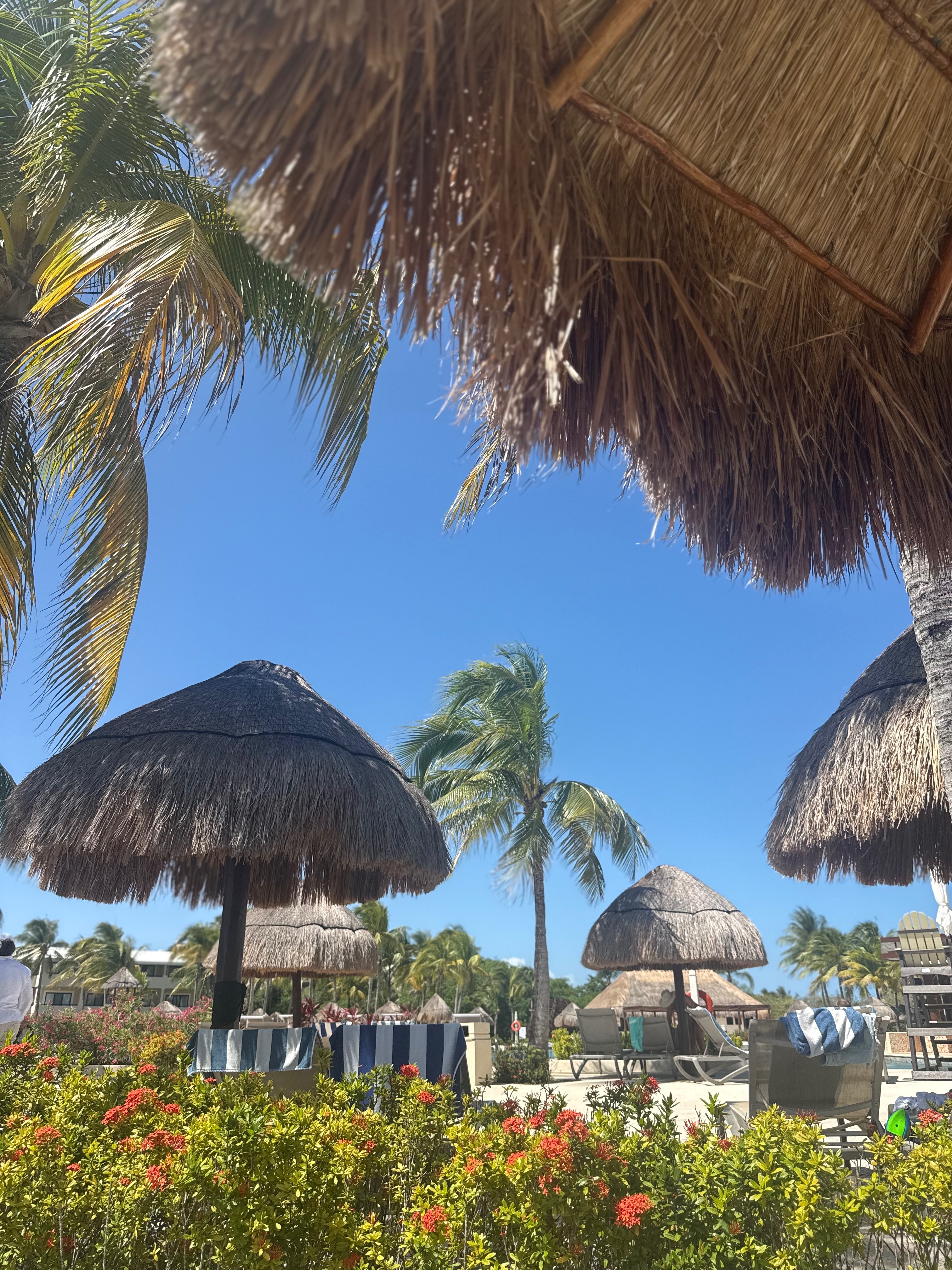 IMG_8940